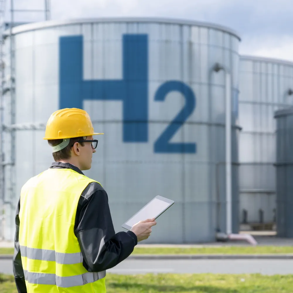 commercial integrated programs 11zon