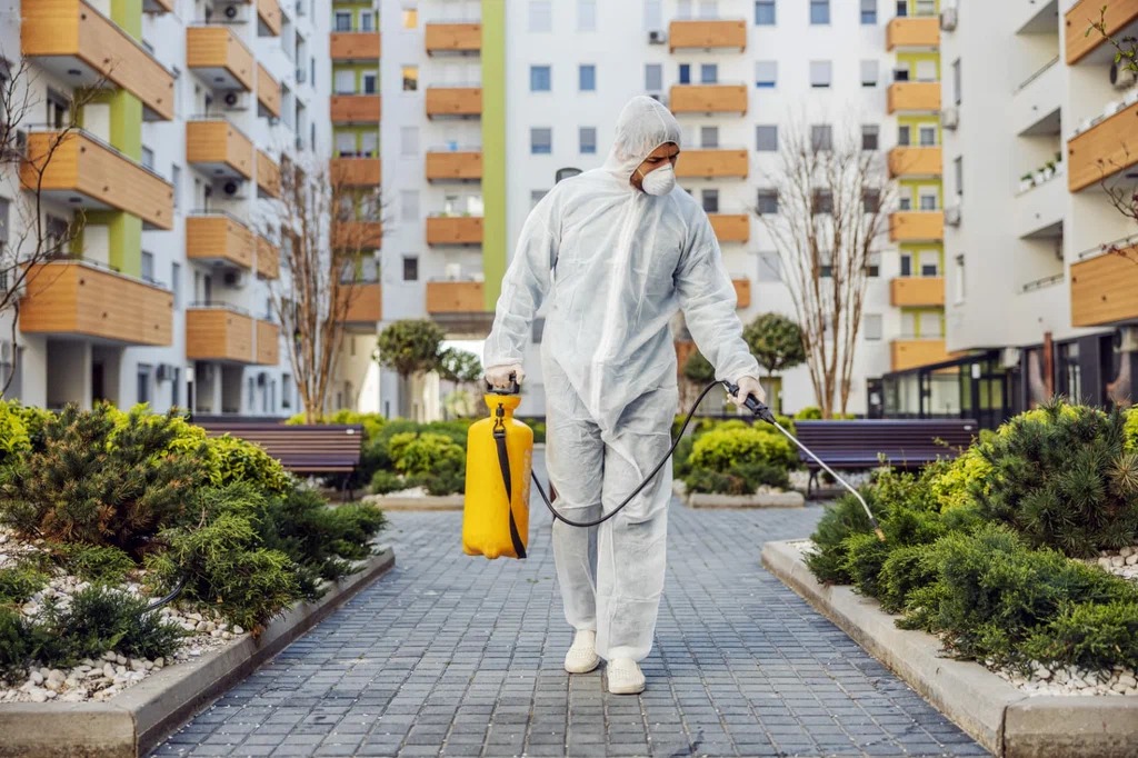 Affordable Pest Control in Jacksonville, FL xxl height 11zon 1