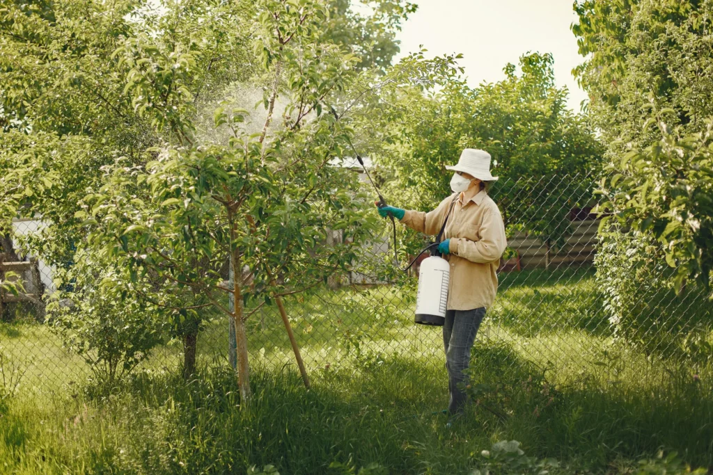Affordable Pest Control in Jacksonville, FL pexels gustavo fring 4894608 1 11zon scaled
